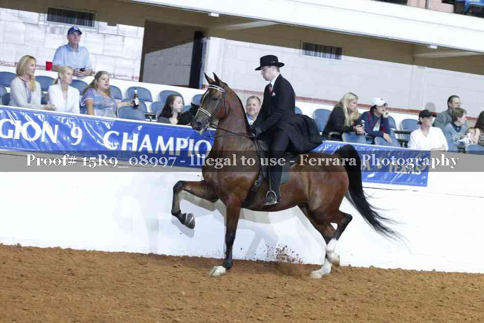 Proof 15R9_08997
