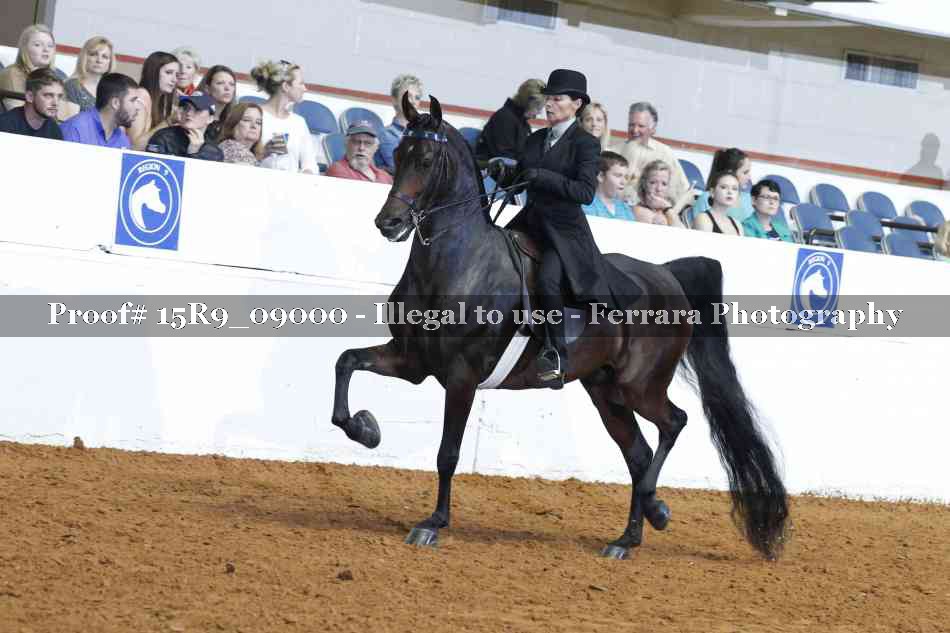 Proof 15R9_09000