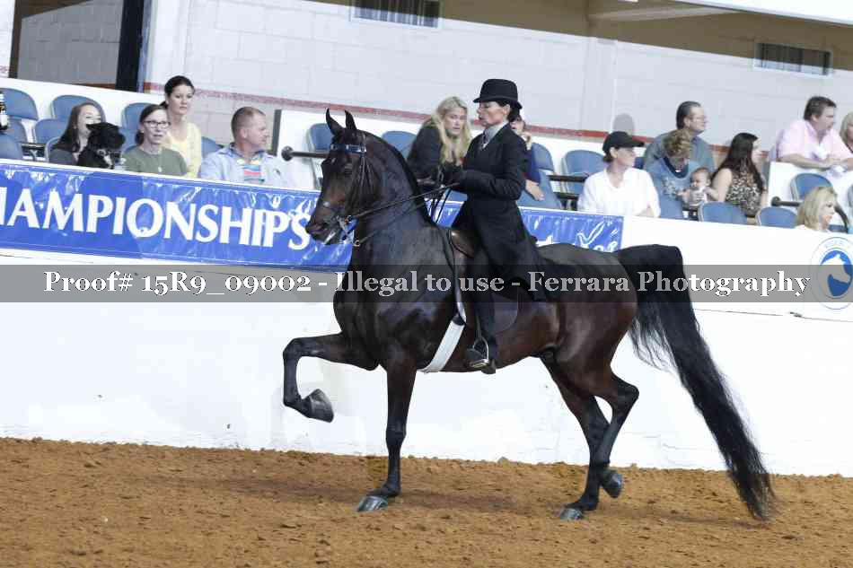 Proof 15R9_09002