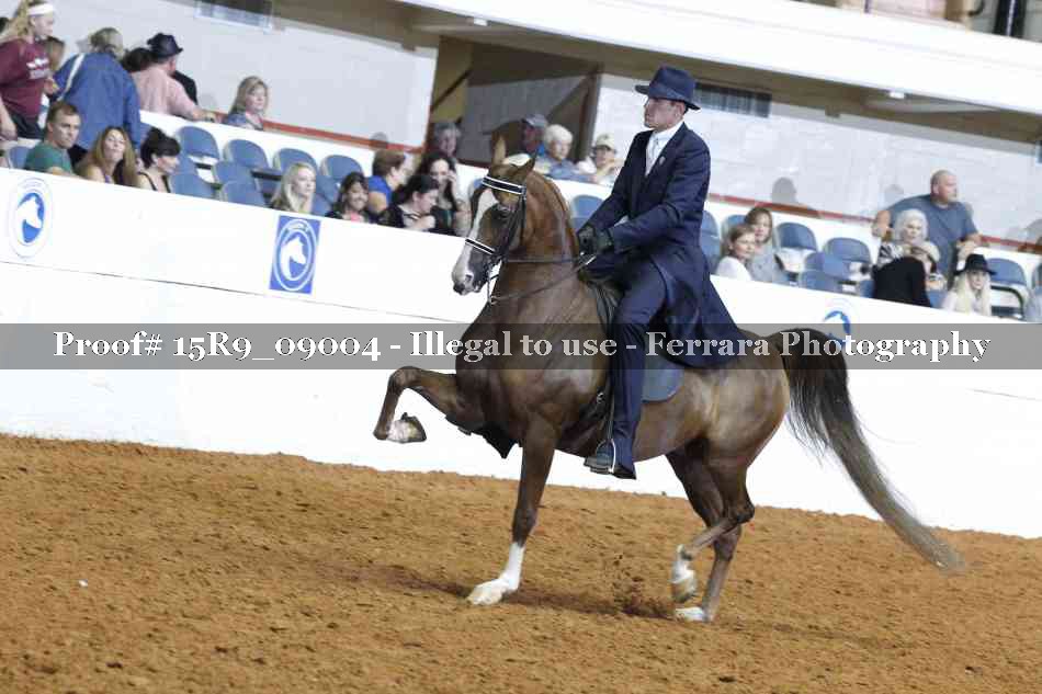 Proof 15R9_09004