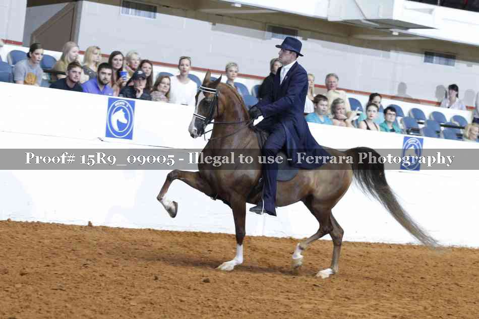 Proof 15R9_09005