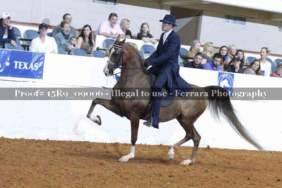 Proof 15R9_09006