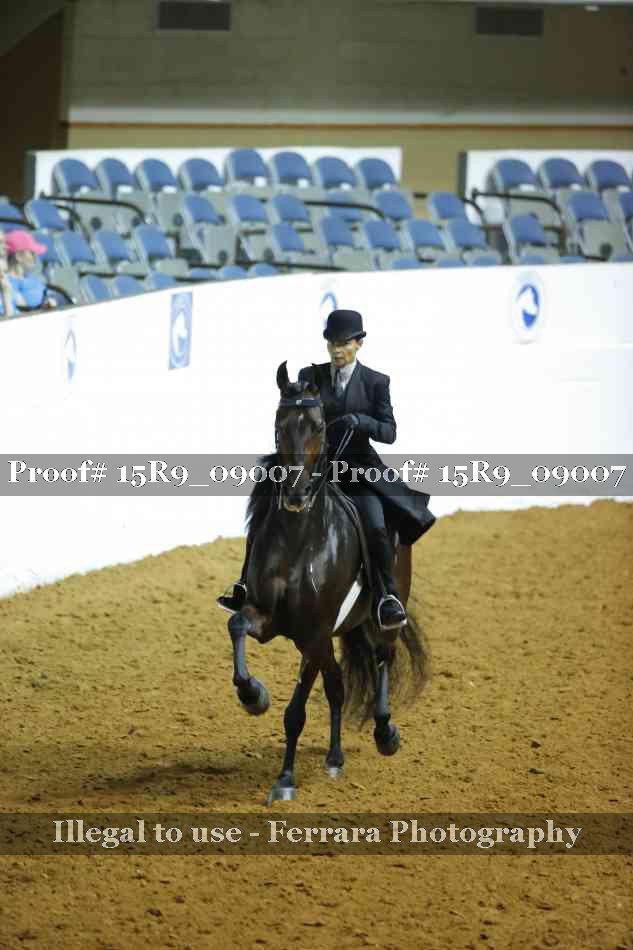 Proof 15R9_09007