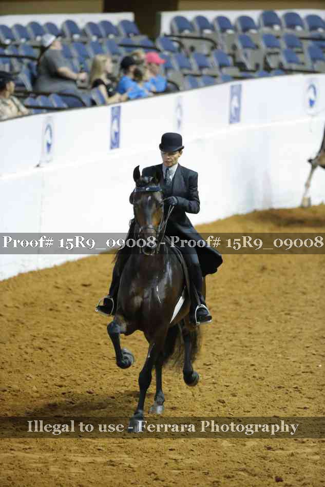 Proof 15R9_09008