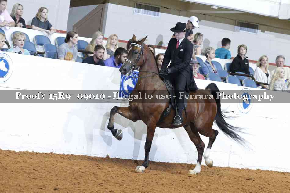 Proof 15R9_09010