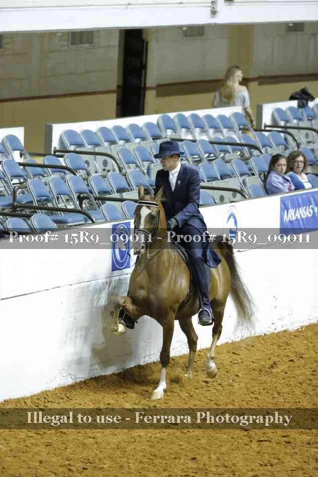 Proof 15R9_09011