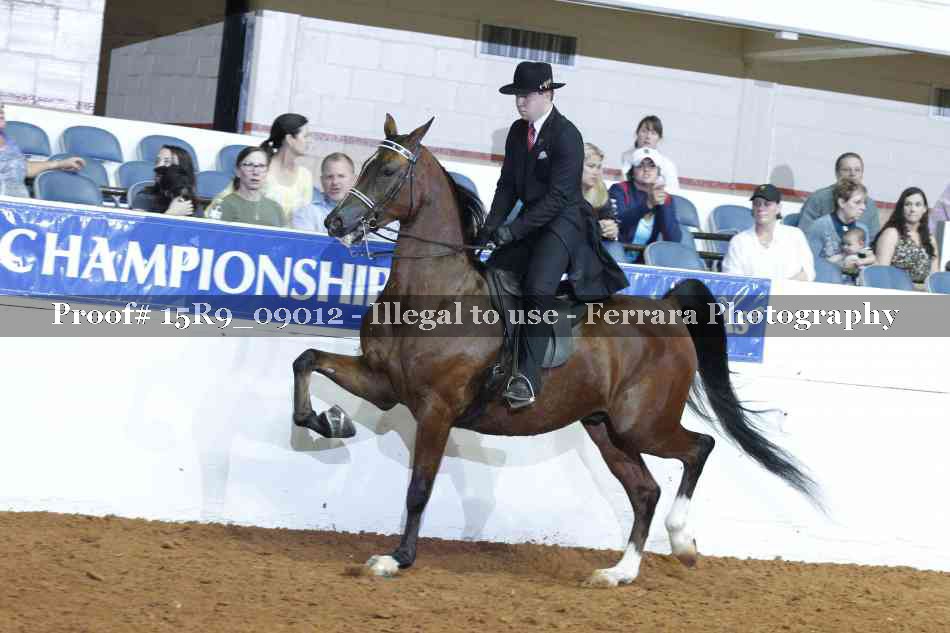 Proof 15R9_09012