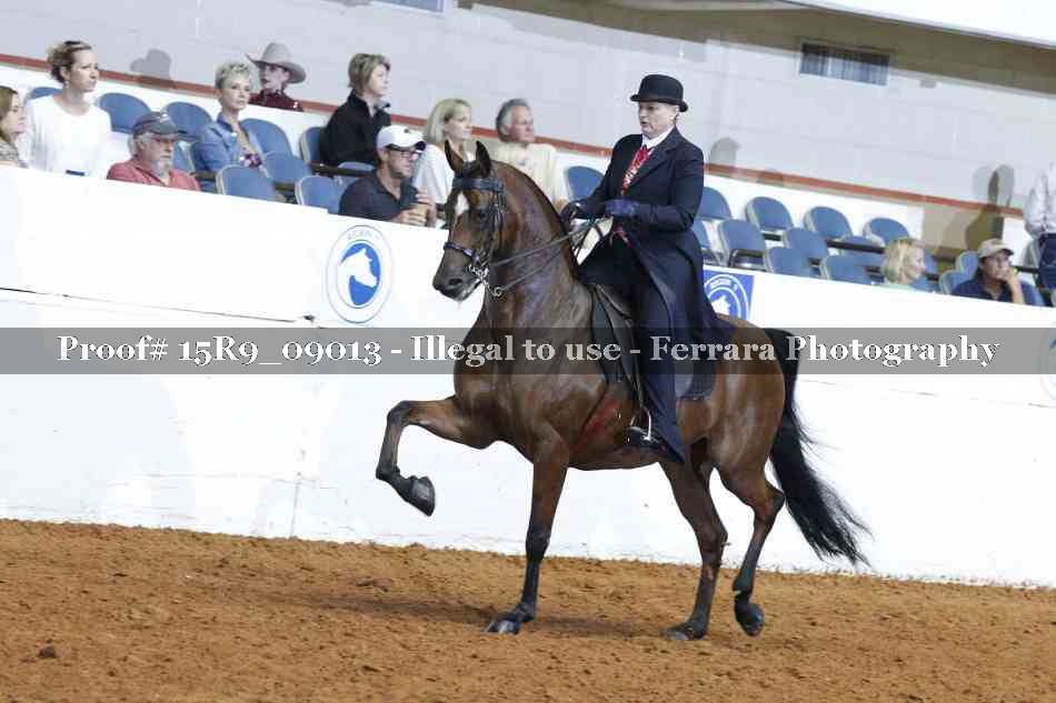 Proof 15R9_09013