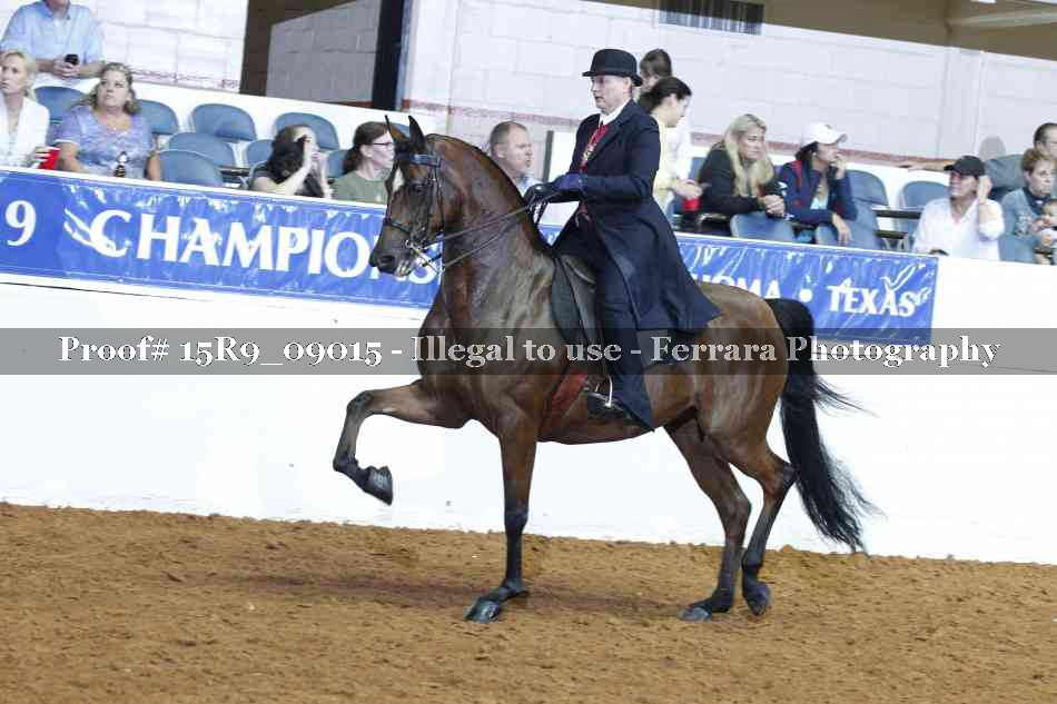 Proof 15R9_09015