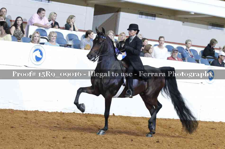 Proof 15R9_09016