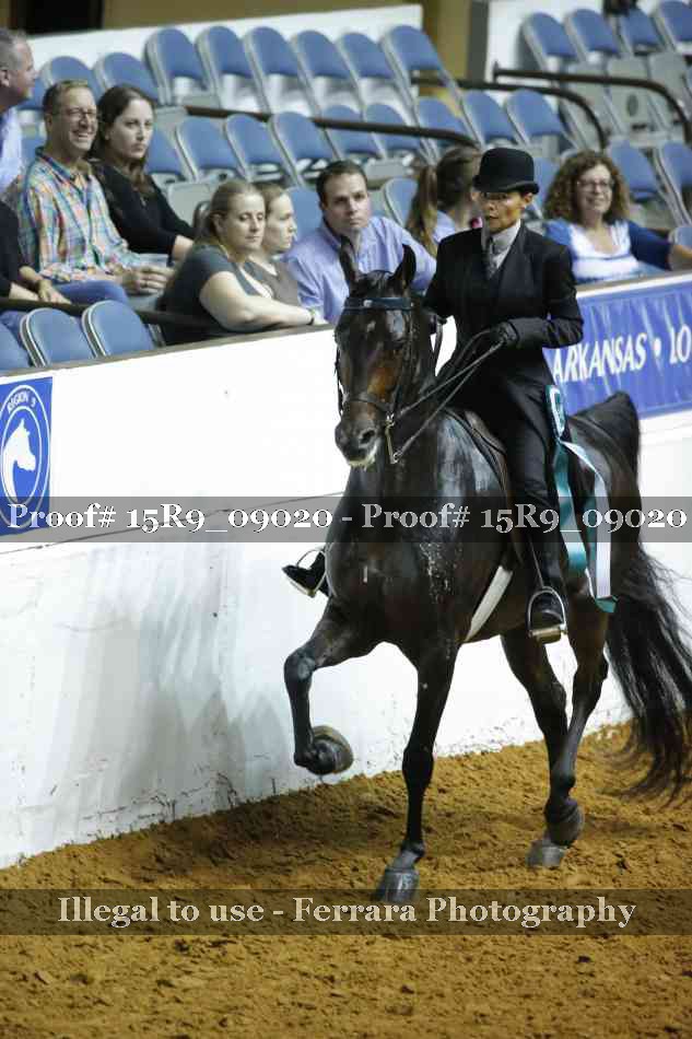 Proof 15R9_09020