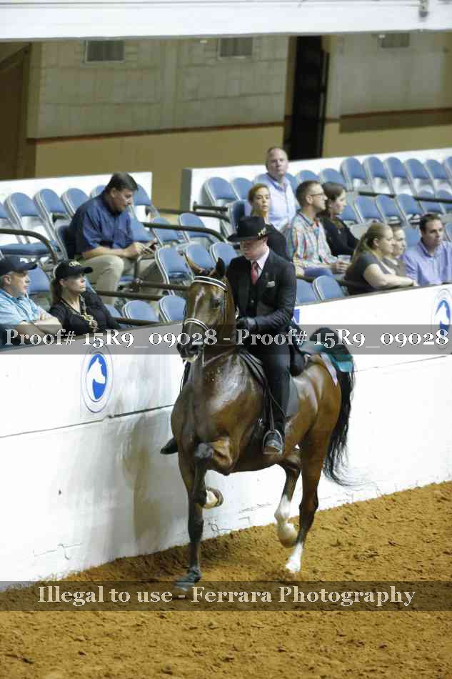 Proof 15R9_09028