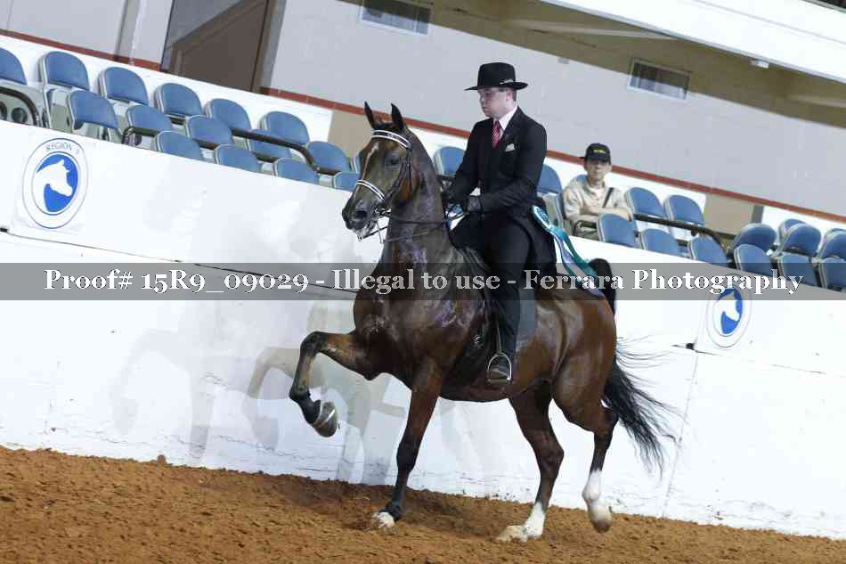 Proof 15R9_09029