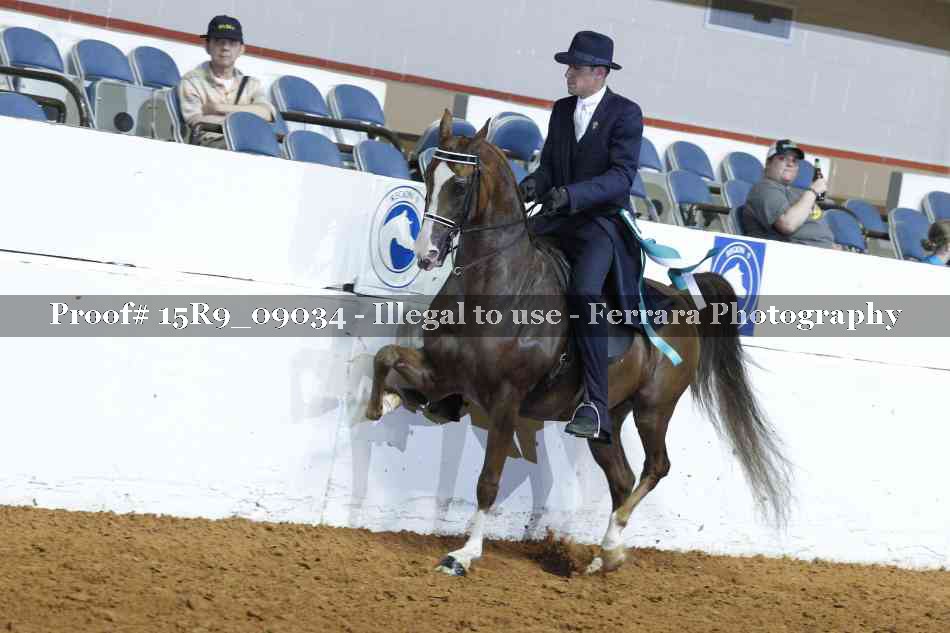 Proof 15R9_09034