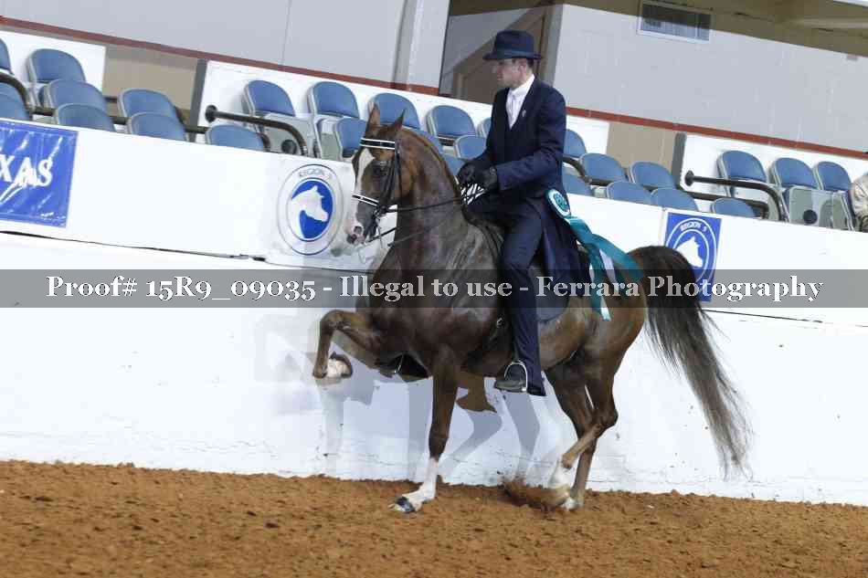 Proof 15R9_09035