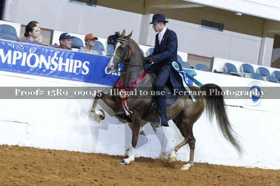 Proof 15R9_09045