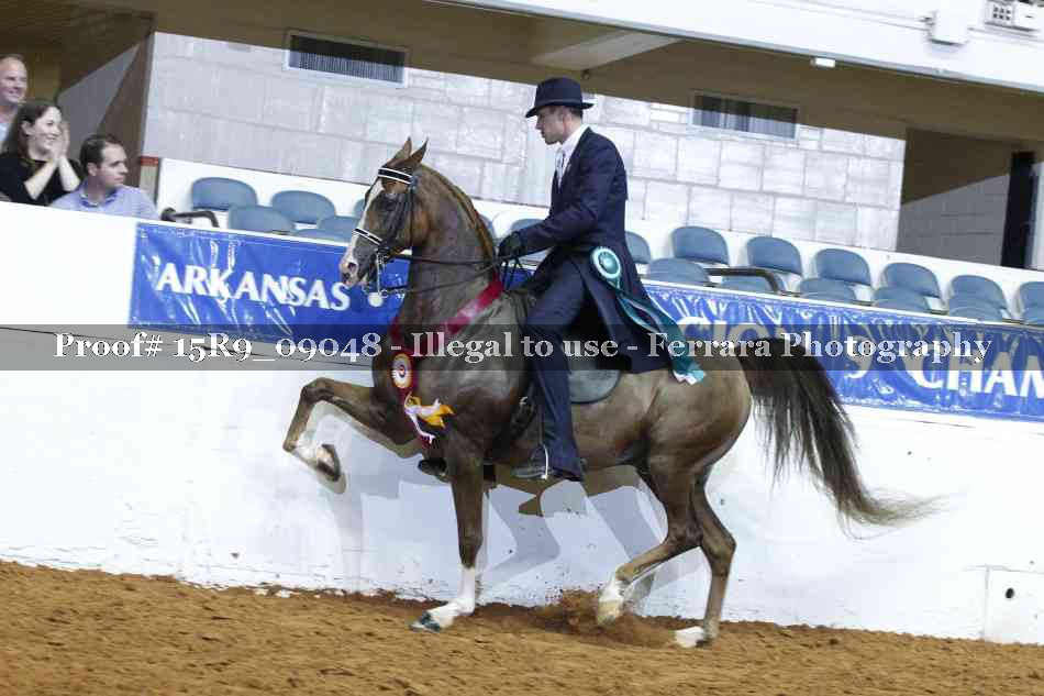 Proof 15R9_09048