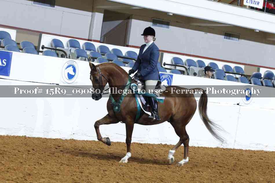 Proof 15R9_09080
