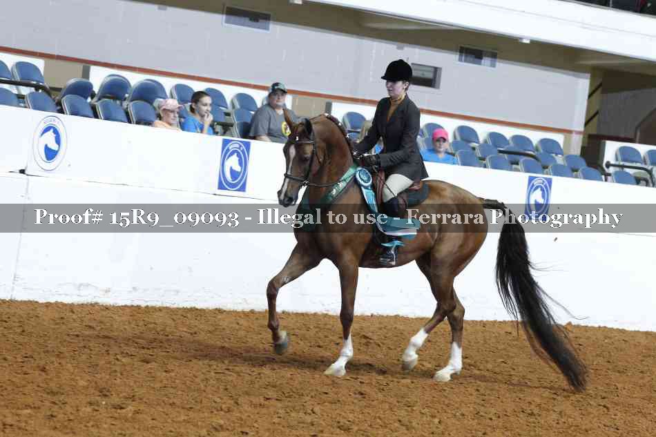 Proof 15R9_09093