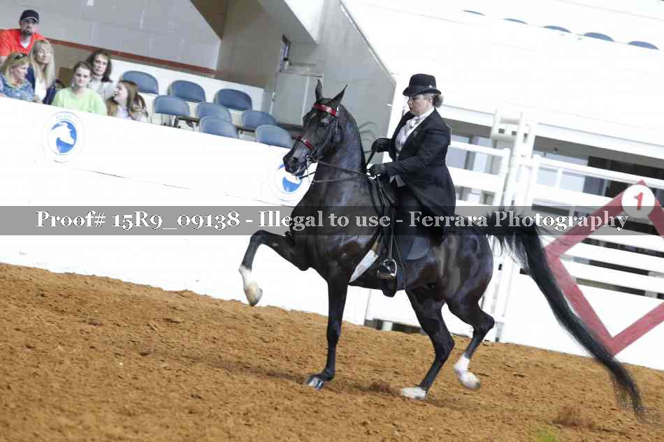 Proof 15R9_09138