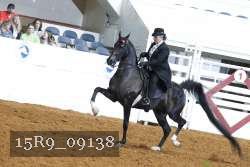 15R9_09138 proof