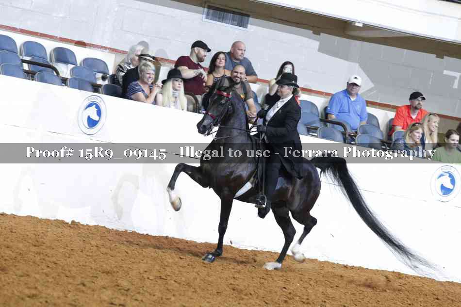 Proof 15R9_09145