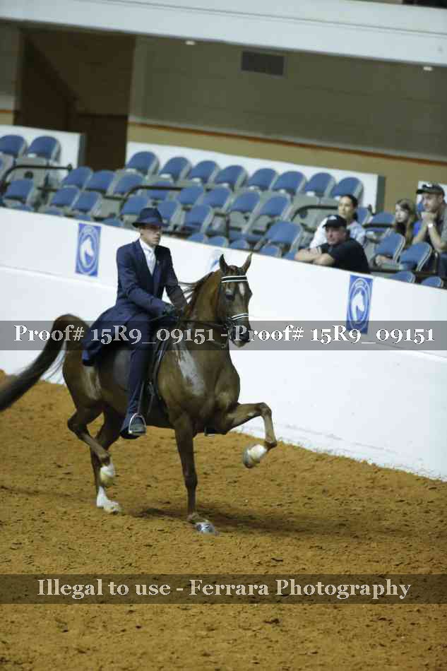 Proof 15R9_09151