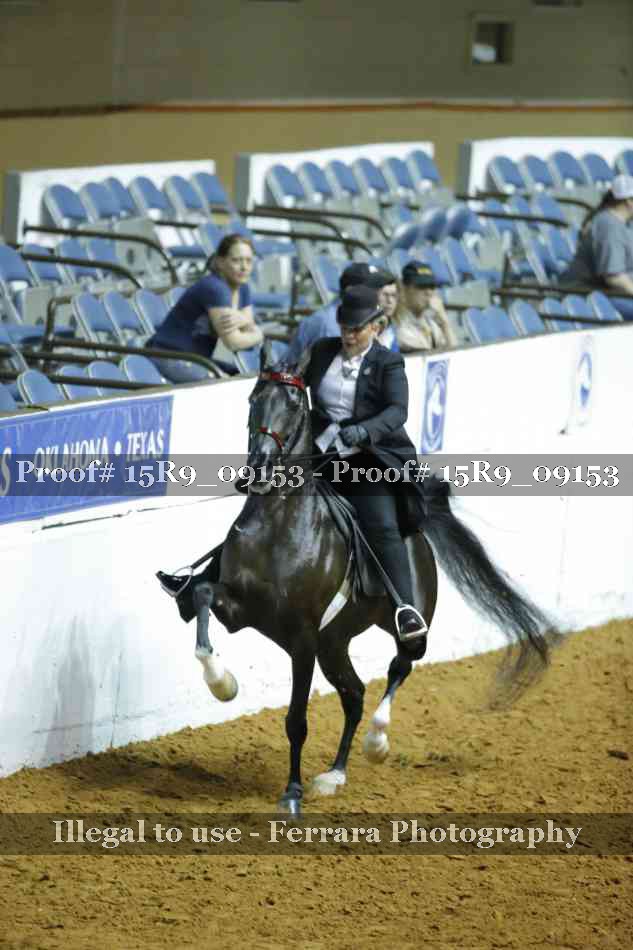 Proof 15R9_09153