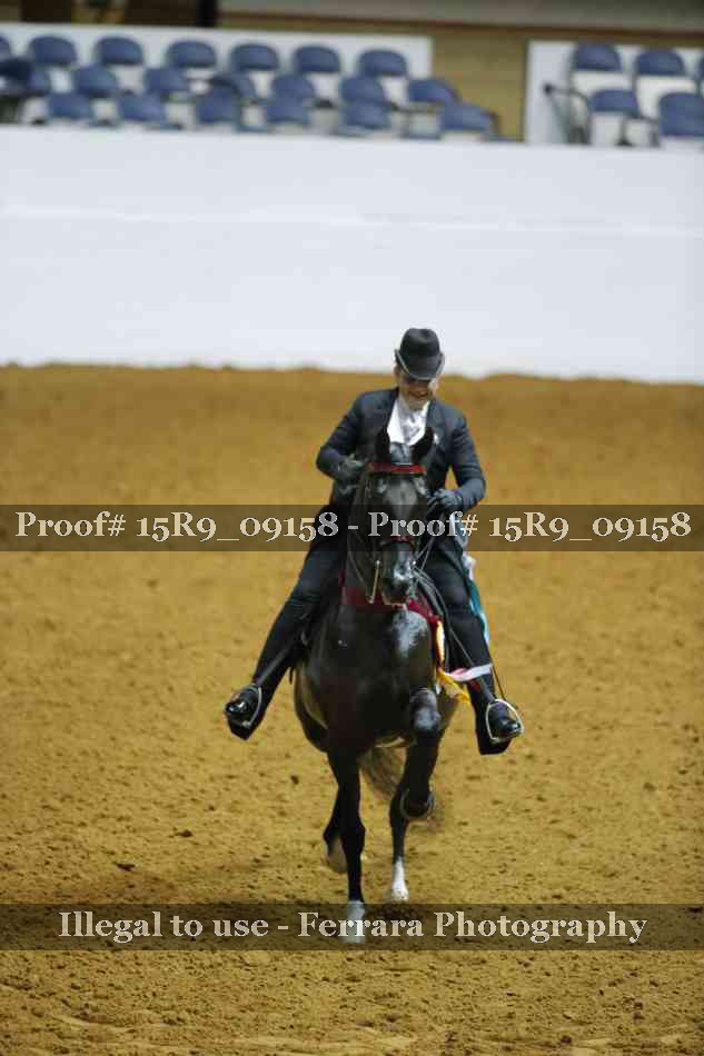 Proof 15R9_09158