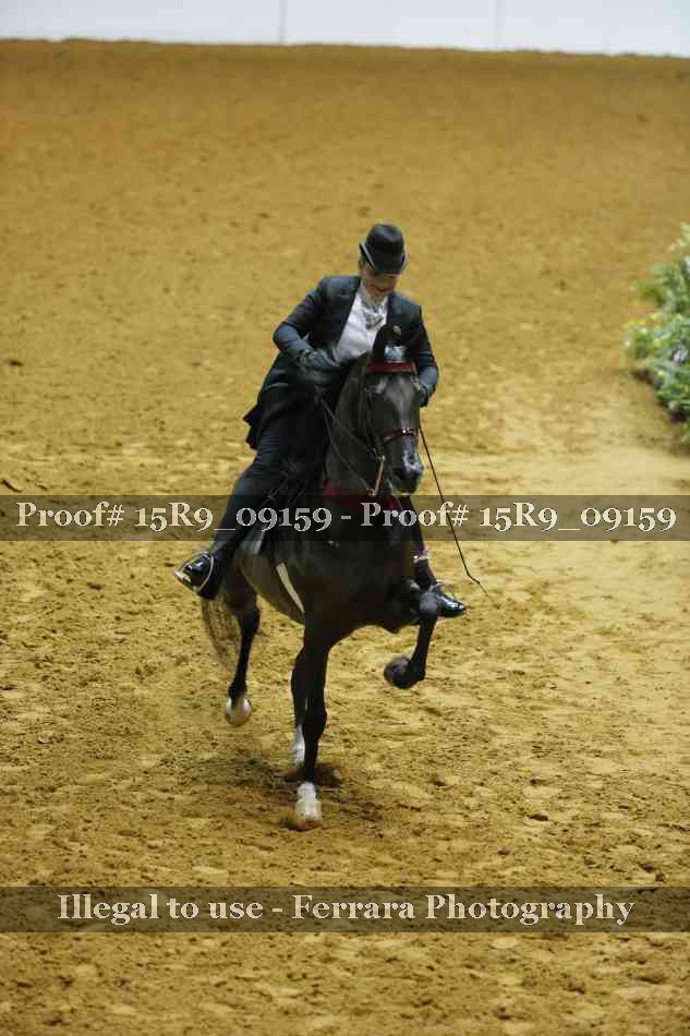 Proof 15R9_09159