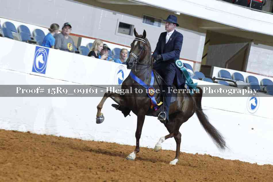 Proof 15R9_09161
