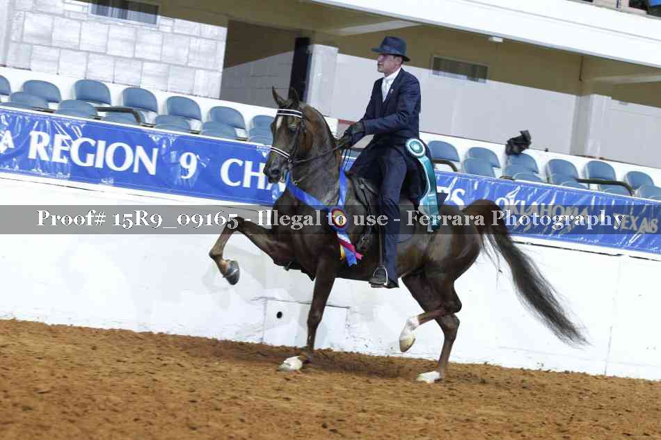 Proof 15R9_09165