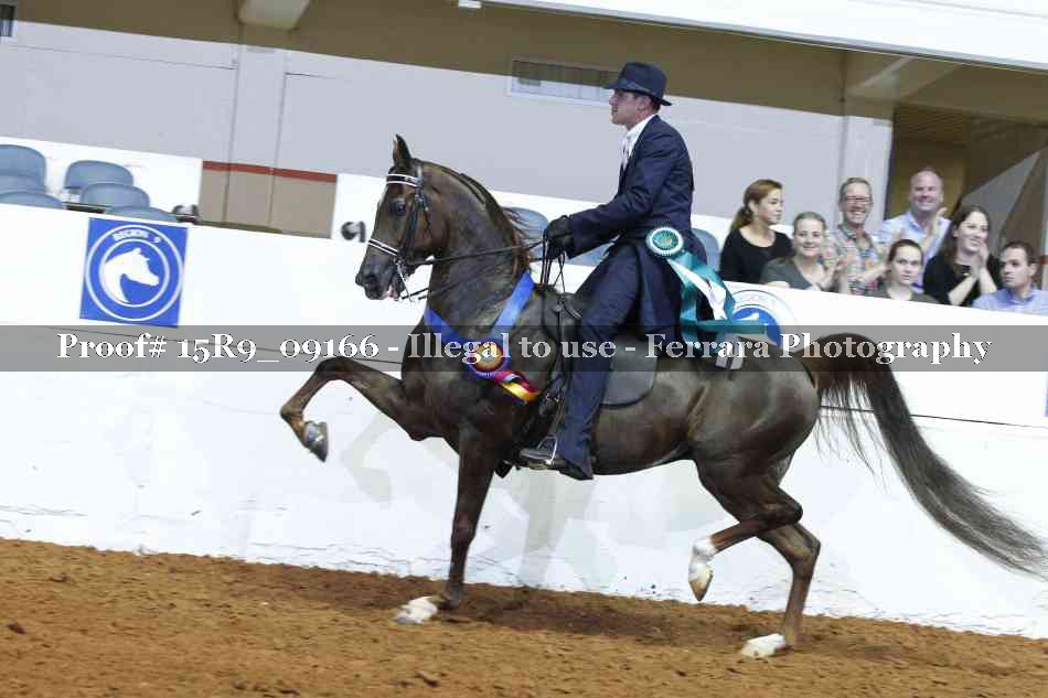 Proof 15R9_09166