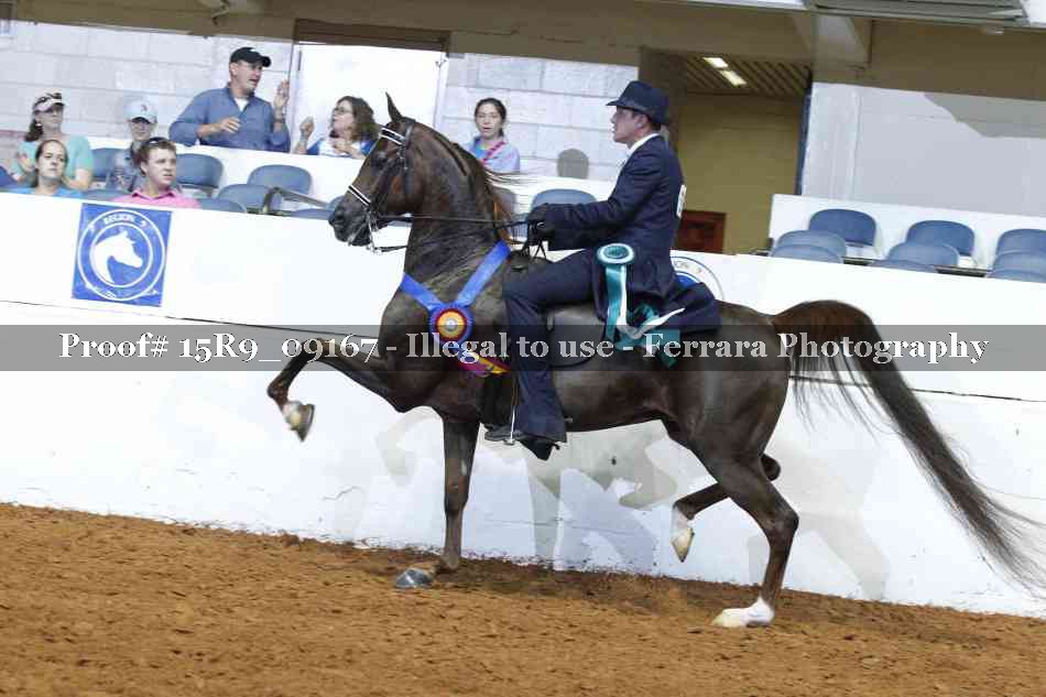 Proof 15R9_09167