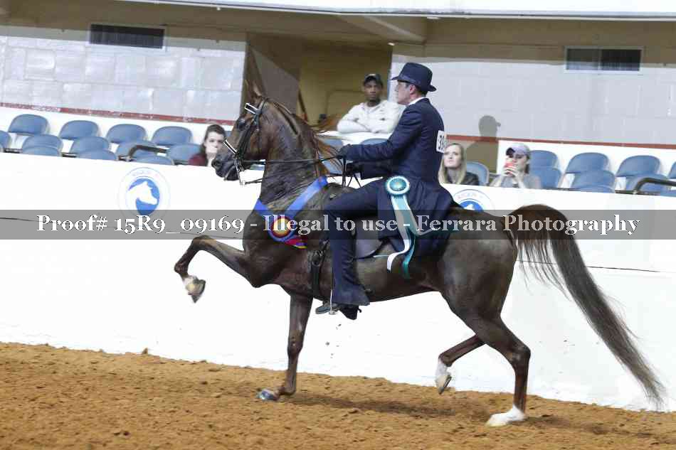 Proof 15R9_09169
