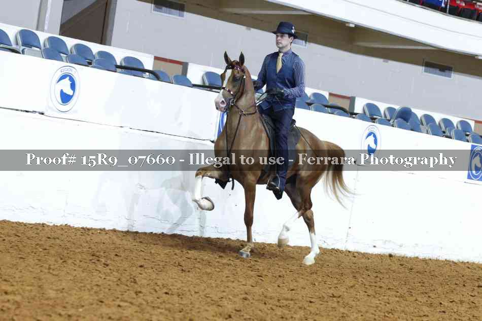 Proof 15R9_07660