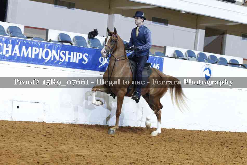 Proof 15R9_07661