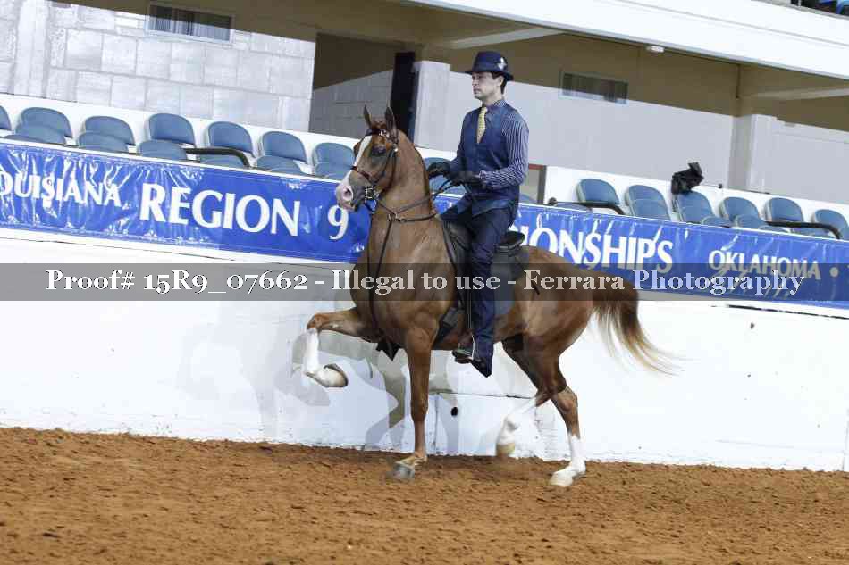Proof 15R9_07662