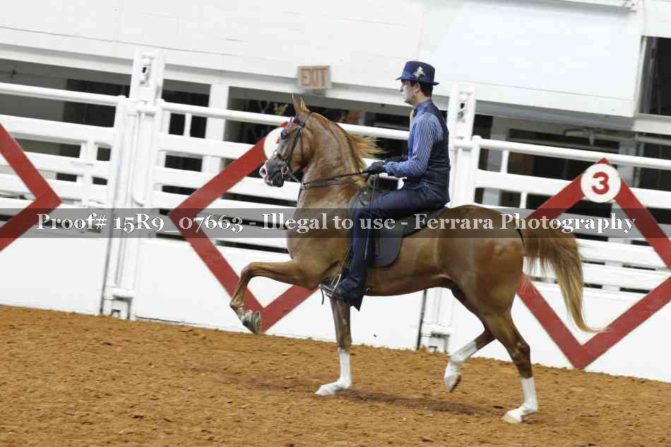 Proof 15R9_07663