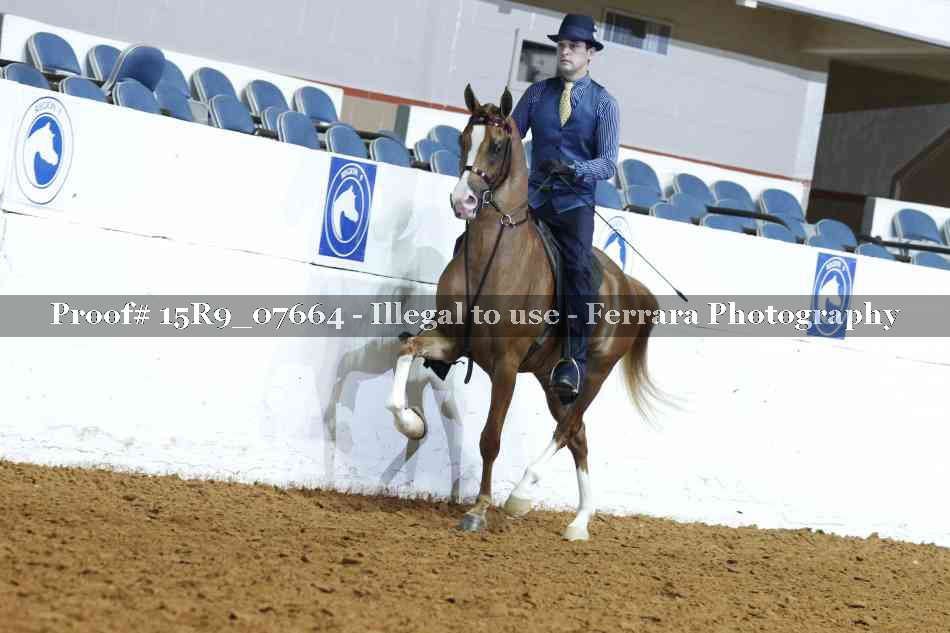 Proof 15R9_07664