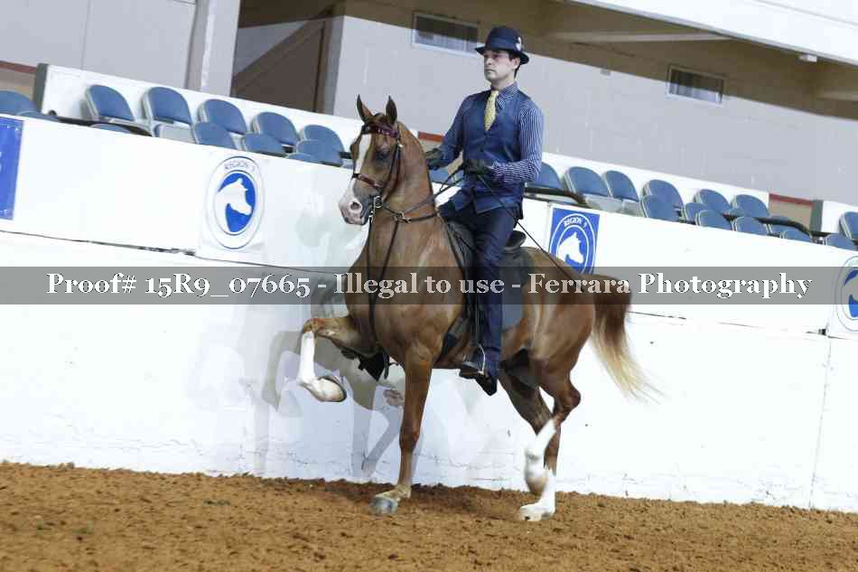 Proof 15R9_07665