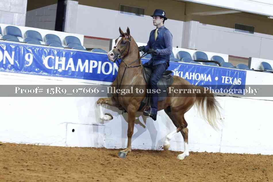 Proof 15R9_07666
