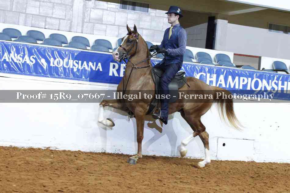 Proof 15R9_07667