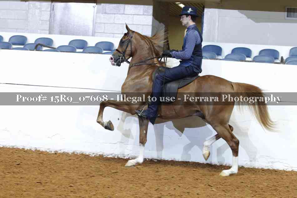 Proof 15R9_07668