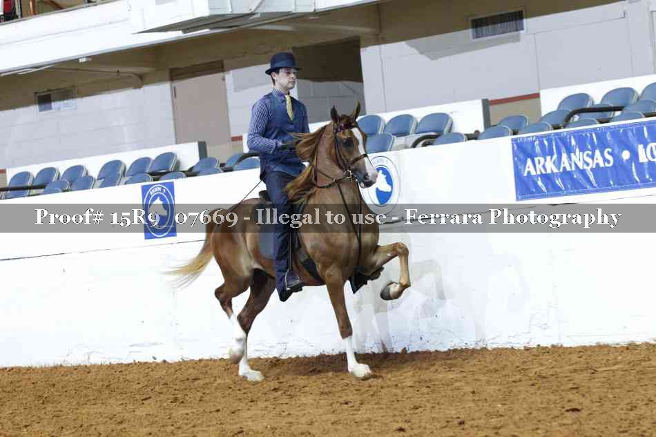 Proof 15R9_07669