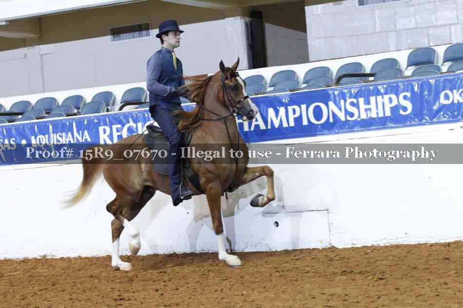 Proof 15R9_07670