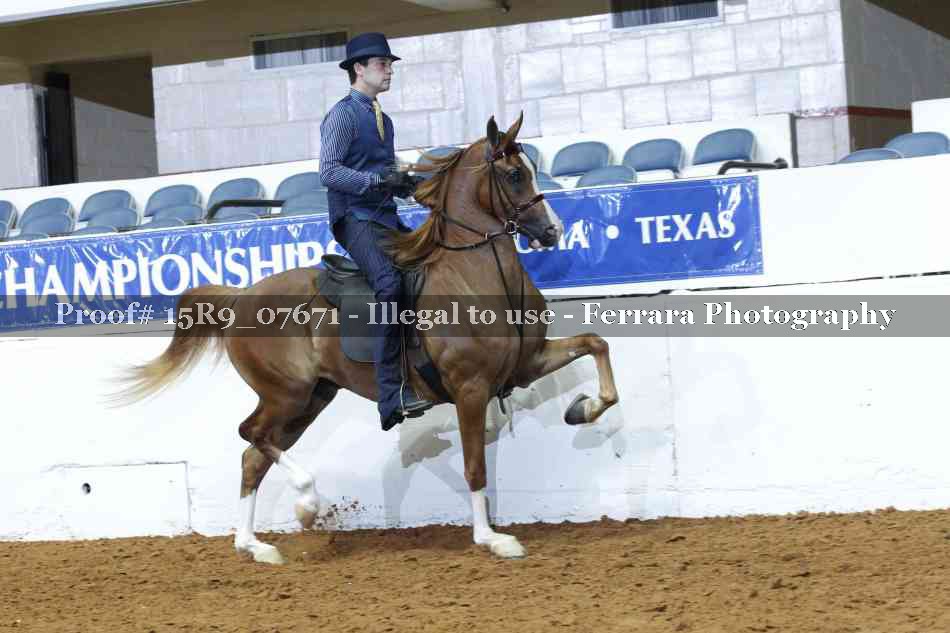 Proof 15R9_07671