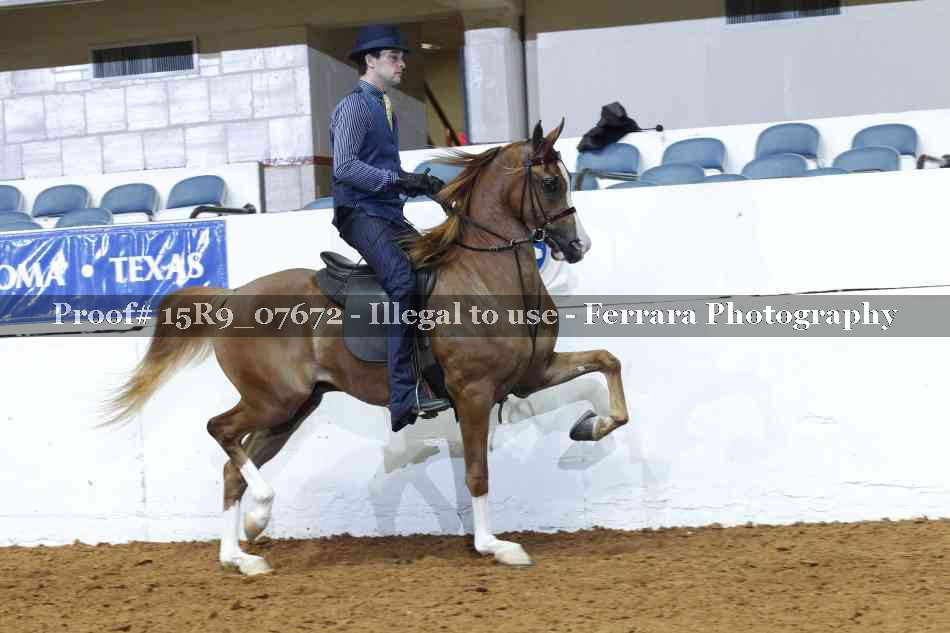 Proof 15R9_07672
