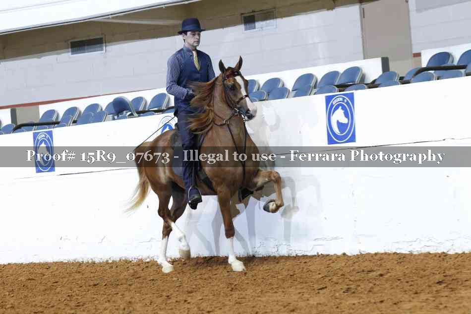 Proof 15R9_07673