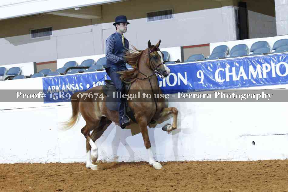 Proof 15R9_07674